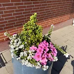 Apartament In Brons Skærbæk
